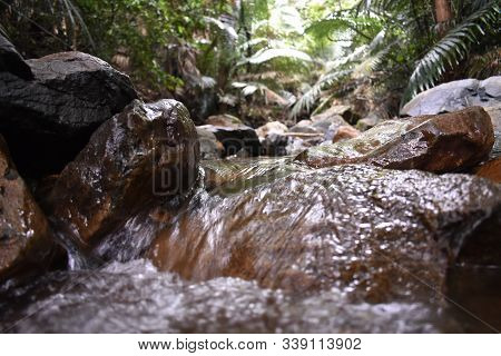Water Cutting Through The Rocks Between The Forest