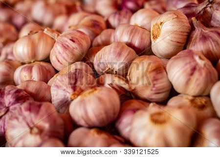 Numerous Heads Of Garlic. Natural Food Used As Species.