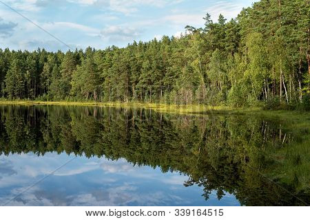 Forest Reflection In Calm Water Of Dystrophic Lake