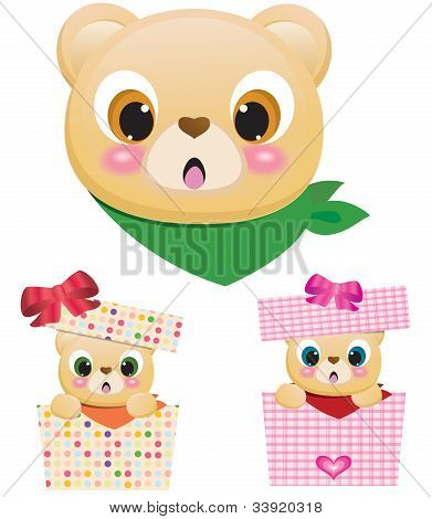 Cute Teddy beren In vakken