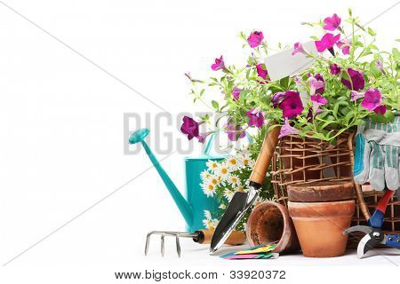 园艺工具和孤立的白花。