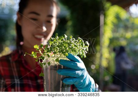 Young Woman Wearing Plastic Glove Holding Cup Of Seeding Plant By Innovative New Crop And Checking G