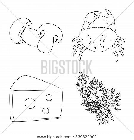 Vector Design Of Seasonin And Ingredient Logo. Collection Of Seasonin And Aroma Stock Vector Illustr