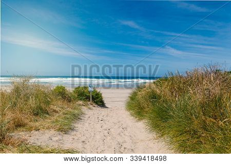 Path To Empty Allans Beach Near Dunedin, New Zealand