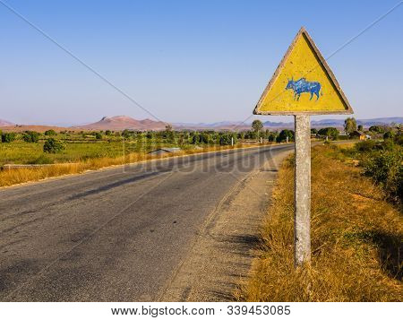 Madagascar, Picturesque Zebu Warning Road Sign Beside Rn7 Highway