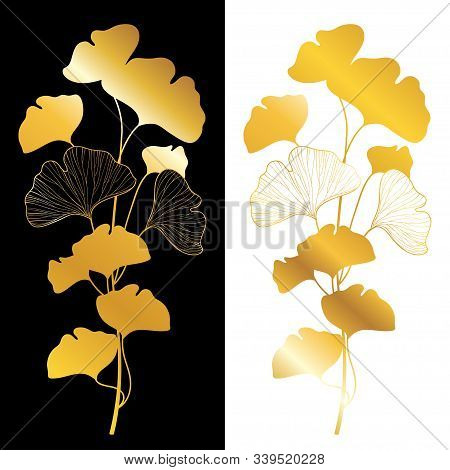 Vector Golden Branch Silhouette Of Gingko Or Ginkgo Biloba Tree. Bunch With Leaf In Gold Isolated On