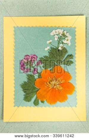 Bouquet Of Dry Flowers On A Colored Background. For Use In Floristry, Scrapbooking And Herbaria. Cou