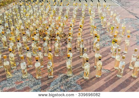 Ginseng Liquor Sitting In Sun