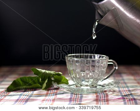 On Selective Focus Of Boiling Water Leaves Nan Cao Wei. Nanchaowei The Plant (vernonia Amygdalina) T