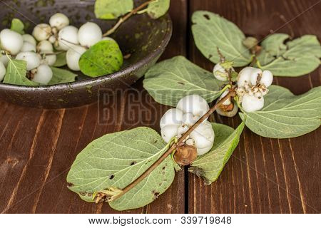 Lot Of Whole White Snowberry In Glazed Bowl On Brown Wood