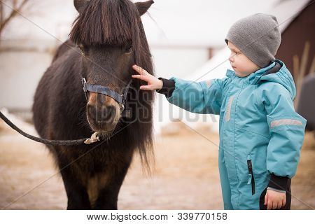 Cute Kid Boy In Turquoise Overalls Stroking An Icelandic Pony With A Funny Forelock. Child Thanks Th