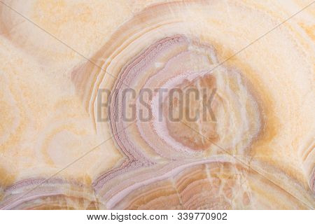 New Onice Background For Your Natural Stylish Home Interior. High Quality Texture.