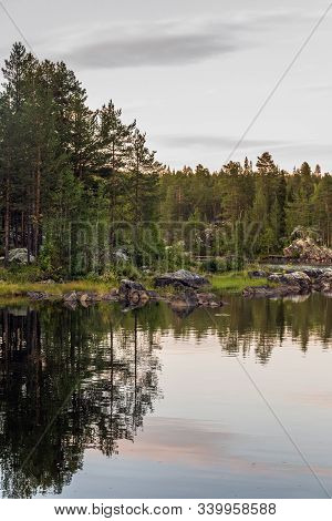 Sweden Autumn Nature
