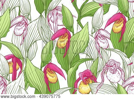 Ladys Slipper Orchid, Cypripedioideae. Seamless Pattern, Background. Vector Illustration In Botanica