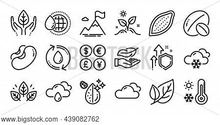 Grow Plant, Rainy Weather And Soy Nut Line Icons Set. Secure Shield And Money Currency Exchange. Dir