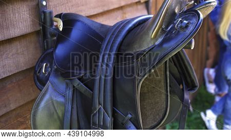 Close Up Saddles Hang On A Wooden Pallet Wall Near The Stall Ready For Sledging On Horses With A Cam