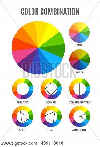 Different Color Circle Palette Combination Set Isolated On A White Background Include Of Tetradic An