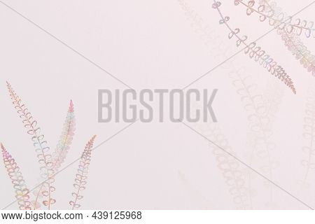 Spleenwort fern frame on a pink background design resource