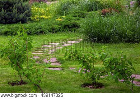 Rough Ornamental Stone Path Paved In Green Backyard Lawn, Curved Backyard Walkway Landscaping With B