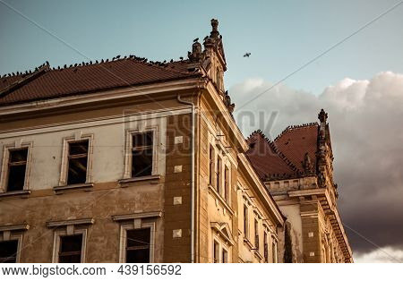 Old Building In Ruins Covered By Crows At Sunset