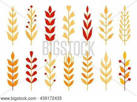 Leaf And Branch Orange Flat Set. Deciduous Branch With Berries. Wild Plant Autumn Object. Free Natur