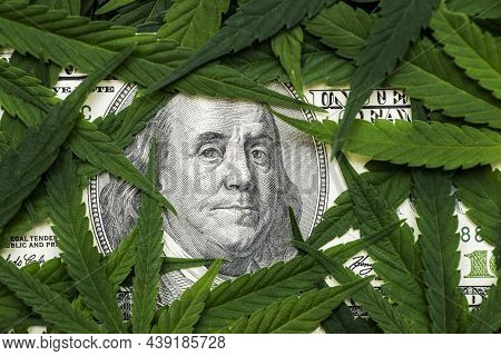 The Face Of Benjamin Franklin On The Hundred Dollar Banknote Among Cannabis Leaf. Money With Marijua