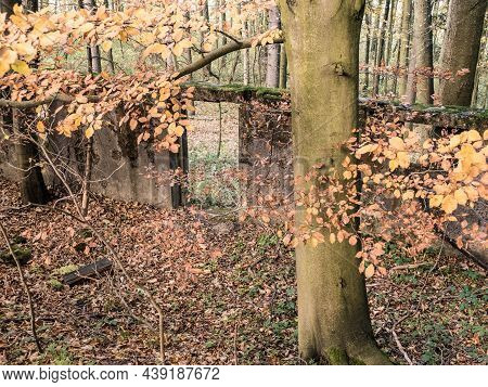 Ruin Of An Abandoned Building