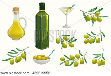 Green Isolated Olives And Oilbottle. Greek, Italian Olives Branch And Jug. Vector Ripe Fruits And Ex