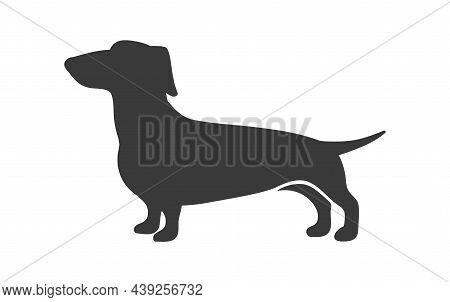Dachshund Silhouette. Sausage Hunting Dog Breed, Dachschund Long Size, Teckel Canine Companion, Vect
