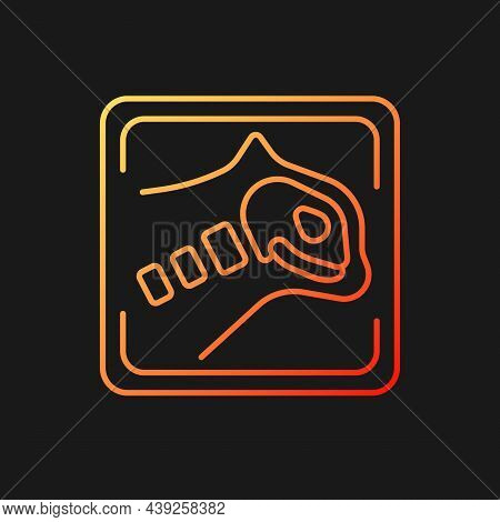 Pet X Rays Gradient Vector Icon For Dark Theme. Radiography Diagnostic. Tomographic Analysis. Pet Sk