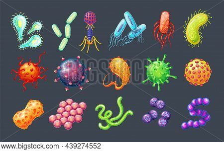 Bacteria And Virus Vector Icons. Germs, Coronavirus, Prokaryotes, Bacteriophage, Pathogen Hepatoviru