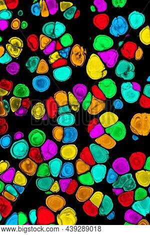 Colorful Abstract Acrylic Painting Cells. Free Flowing Cells. Pouring.