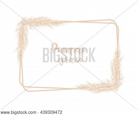 Pampas Grass Rectangular Background. Decor Of Invitations And Postcards In The Boho Style. Vector Il