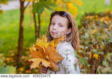 Cute Girl With Autumn Leaves In The Beauty Park. 8 Yearold Girl In An Autumn Park Holds A Bouquet Of
