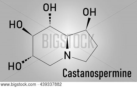 Castanospermine Alkaloid Molecule. Isolated From Castanospermum Australe. Skeletal Formula.