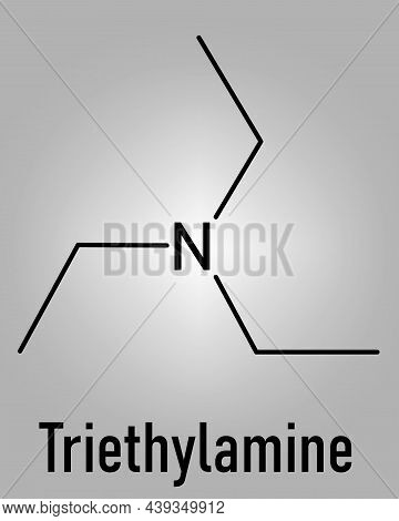 Triethylamine Organic Base Molecule. Skeletal Chemical Formula.