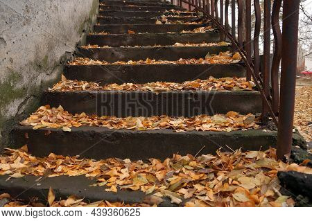 Autumn Etude With A Ladder In The Yard Of The Old House