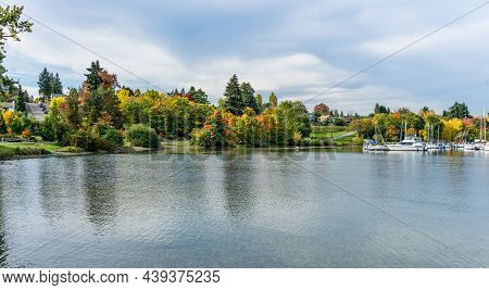 A Lake Wasington Marina And Colorful Fall Trees In Seattle, Washington.