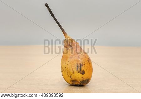 Rotten Pear On A Neutral Background, Close-up.