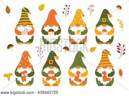 A Set Of Small Autumn Dwarfs In Caps, Who Hold Mushrooms, Twigs, Berries And The Letters Fall In The