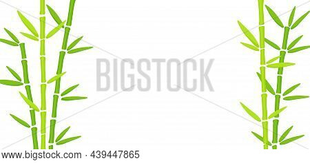 Green Bamboo Grass Hand Drawn Background. Oriental Chinese Plant Vector Illustration. Template With 
