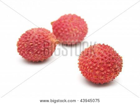Lechees