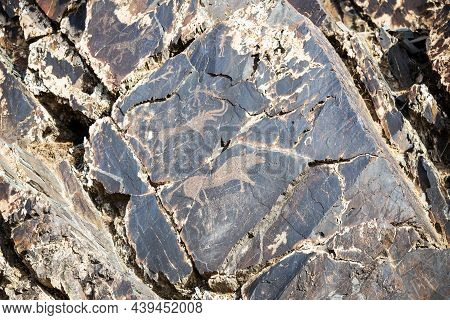 Ancient Rock Carvings Of Animals In The Sarmysh Gorge, Nurata Mountain Range, Uzbekistan