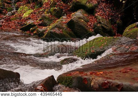 Carpathian Mountain Waterfall Shypot. Autumn Landscape With A Waterfall. Close-up Of Water