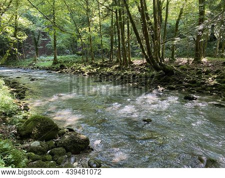 Curak Stream Near The Zeleni Vir Picnic Area In Gorski Kotar - Vrbovsko, Croatia (potok Curak Kod Iz