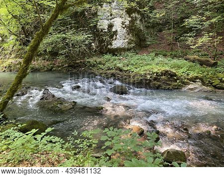 Curak Stream Near The Zeleni Vir Picnic Area In Gorski Kotar - Vrbovsko, Croatia (potok Curak Kod Iz