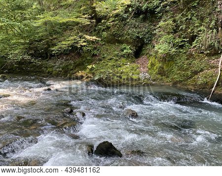 Curak Stream Near The Zeleni Vir Picnic Area In Gorski Kotar - Vrbovsko, Croatia (potok Curak Kod Iz