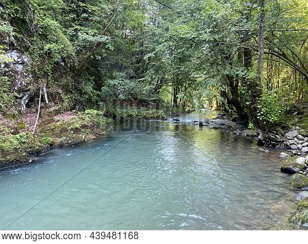 Curak Stream Near The Zeleni Vir Picnic Area In Gorski Kotar - Vrbovsko, Croatia (potok Curak Kod Iz