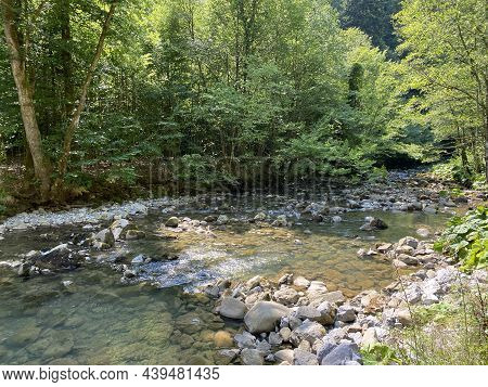 Curak Stream Near The Zeleni Vir Picnic Area In Gorski Kotar - Vrbovsko, Croatia (potok Curak Kod Iz