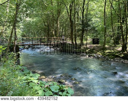 Promenade Along The Curak Stream Near The Zeleni Vir Picnic Area In Gorski Kotar - Vrbovsko, Croatia